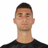 Dominik Greif